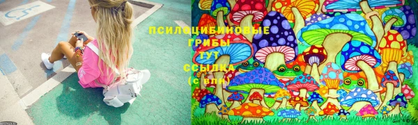 кокс Алексин