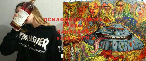 кокс Алексин